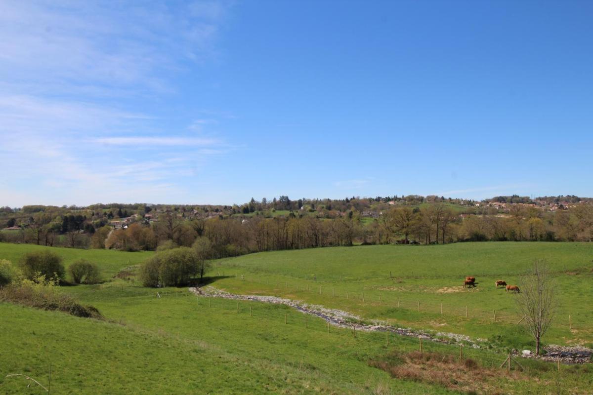 Villa Chez Le Bayle Condat-sur-Vienne Esterno foto