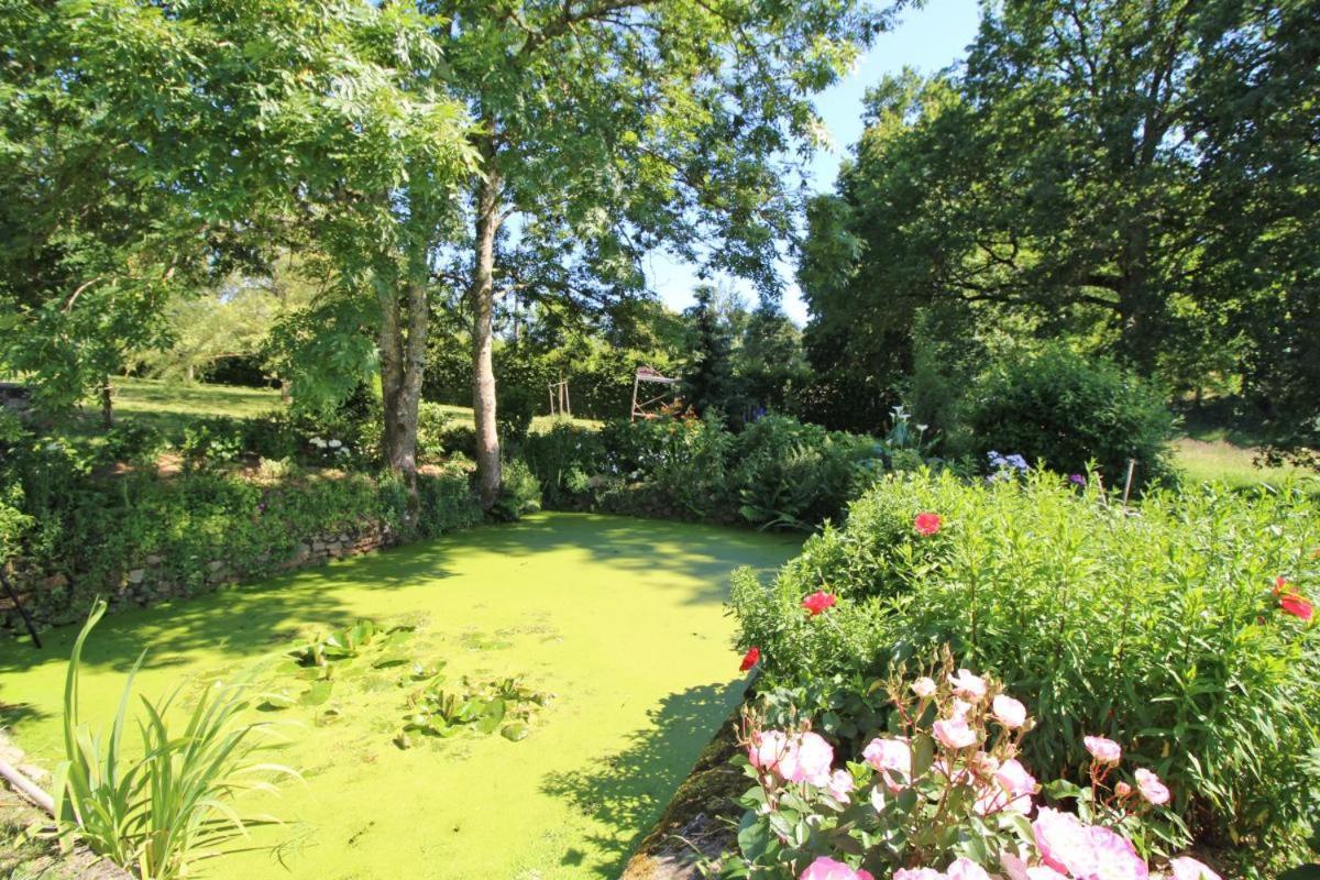Villa Chez Le Bayle Condat-sur-Vienne Esterno foto